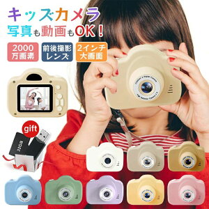 2.0C`IPS 掿2000f ǂJ gCJ qpJ SDJ[ht gCJ vJ}