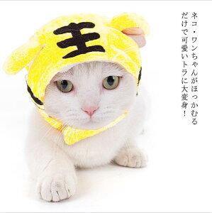 RX` CX^f ϐg RXv LbgEFA hbO ^ L̕ giJC e ԂX   g Ԃ p