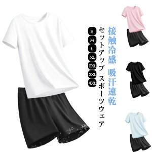 ʋC Zp Zbg z Vc  X|[cEFA ZbgAbv T}[ ڐG⊴  ㉺  fB[X  ĕ