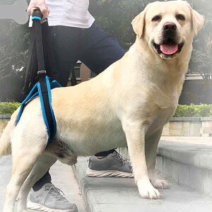 p p pi PA VjA  V n[lX pn[lX pn[lX s⏕n[lX n[lX