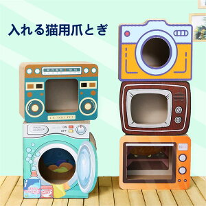 Lxbh LnEX CeA L̒܌ L ܌ ܌ L f  킢 L̒܂Ƃh[