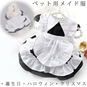  ^ hbOEFA t  ybg  hX XJ[g NX}X nEB s[X RXv  Ch