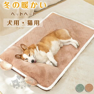 H~ g 킢 xe ӂӂ g 􂦂 NbV p Lp RR \t@[ ybgxbh _炩 L}bg