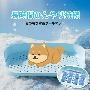 ybgp\t Lxbh xbh ybgxbh N[xbh ڐG⊴ ėp}bg N[}bg Ђ}bg L 