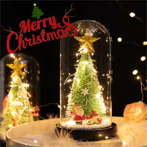   Cg CeA fR[V   LED KX KX  Mtg  v[g NX}Xc[