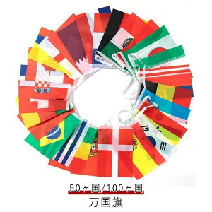  [hJbv  t E̍  50 [htbO 100 傫  TbJ[ ^ A 