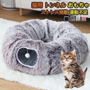 lR vCgl ܂ݎ RpNg Lbggl LnEX ˂gl ӂӂ ~   gl