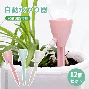 UVX @ 傤 A  12Zbg 蓖 A  ƒp ybg{g Lbv