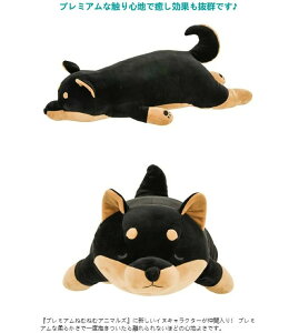 ʂ Ki Ԃ͂ ܂L   ˂ނ˂ ẴRec LTCY v~A˂ނ˂ރAj}Yz܂