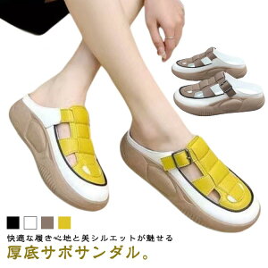 t K ʋC  ~ y JWAV[Y fB[X Xj[J[ T{T_ Oǂ   T_