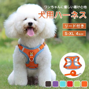 i _炩 Ȃ  ȒP  ^ ^ ^  ybgp [ht pn[lX n[lX