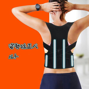 w  pxg Lw p T|[^[ xg TCY l m s pǂȂ qǂ fB[X Y