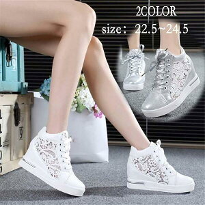 di125wywyd4 ҂ݏグ V[Y JWA C Cq[  Xj[J[ C