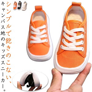 j̎q ʊw ʉ n Xb| y 킢 JWA 13-18.5cm ~ E₷ jp Xb| ₷