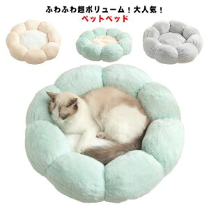  NbV LnEX xbh  L 􂦂 NbV lRxbh nEX n Lxbh xbh ybgnEX Ԍ^ ی^