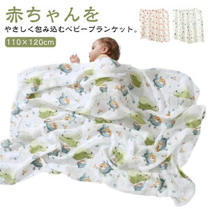  ѕz uPbg Q K[[Pbg  xr[uPbg oY xr[ ėp  Ԃ Rbg |