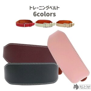 Vv PF n EGCgg[jO T|[g fB[X Y jp xg EFCgteBO p[xg