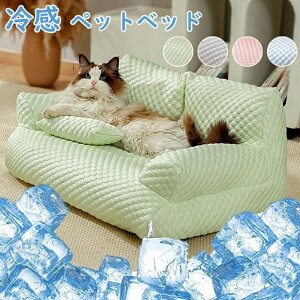 ^A ybgxbh 􂦂 O\ ppxbh p\t@xbh 􂦂 ʋC pybgxbh ACXVN ⊴