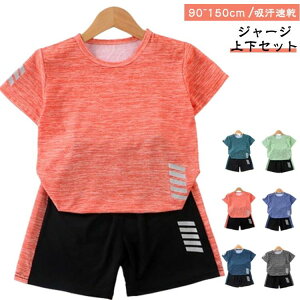 y z qp ㉺Zbg LbY  ㉺ W[W