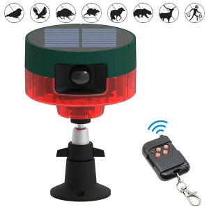 6LEDtbV 13퉹^@\t 12/24ԉғ[h 悯 悯 L悯 \[[ hƃA[ Qb΍