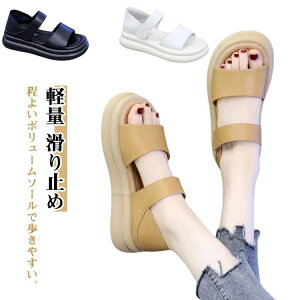 g r C T_ L Od ₷  lԍHw X|[cT_ _炩 Xj[J[ ʋC y  