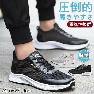 JWA ~ y y ₷ ₷ ؍ ʋC bV   X|[c fB[X Y