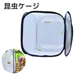 W{ AP[W ܂肽 y bV  c ^ P[X  ɐB lbg ʋC P[W  P[X