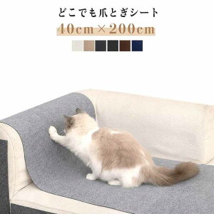 \t V[g ͂  L  XgX h~ ܌V[g