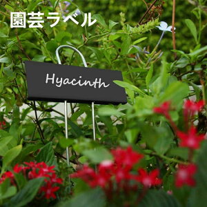 5  Ax n[u ƒ؉ Ԓd K[fjO ΂̔ l[v[g