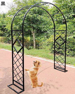 K[fA[` [YA[` K[fjOAgȒP gX [YA[` 傫 KтȂoA[` K[fA[`