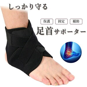 e[ Ep ʋC X|[c h~  j Œ t[TCY T|[g ی WMO P T|[^[