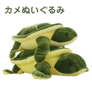 65cm av[g oYj ǂ  q Ԃ  T J 