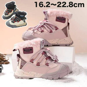  AEghA Xm[V[Y h y  ۉ h ~C 킢 Xm[u[c Xj[J[ qC LbY qu[c