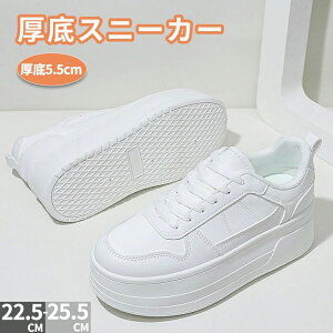 Cq[Xj[J[  y ₷ ꂢ C V[Y EH[LO Xj[J[  fB[X Xj[J[