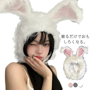 Cx p[eB[ ~ H ڂ   ObY RXv Ԃ Cxg  Aj} ߑ  蕨 Xq