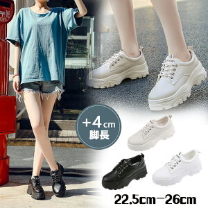 傫TCY r  zCg ubN x[W  3color w gAbv wȂ 5cmq[ x[W tďH~ X|