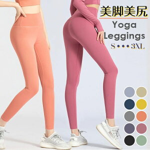 WK[ X|[c X|[cEFA  z Lk fB[X  傫TCY tBbg WEFA Kpc MX