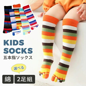  O\h  X|[c WjA \bNX ̎q j̎q  C{[ {[_[ LbY 5{w C nC\bNX