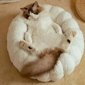 Q zc g  ybgxbh LnEX _炩tl LbgnEX ʂʂh[^  ی^ L