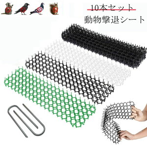 ���p �肷�� ���� �x�����_ �D�ꂽ�ϋv�� ������ �L�悯 �������ރX�v���[ ���悯�΍� �X�p�C�N �L�悯 ���悯