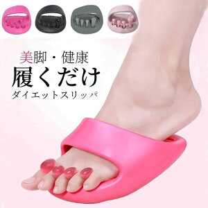 ނ p r [V[Y ƌN  ̊ c{ fBAk 5{wXbp _CGbgT_