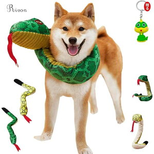   N N x 2025N ybg ^ ^ ^ 蕨 N   RXv wr ʂ ̏o 