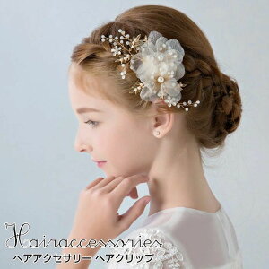 q tH[} El̎ lg q  \ } wbhhX wANbv  p[ ԉ q 