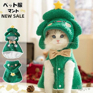 o    g H~    h ybg}bg hbOEGA ybg}g ѕz L NX}X