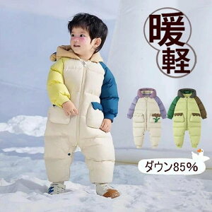 h  q AE^[ t Ԃ LbY xr[ Jo[I[ t[ht xr[ _ER[g X p[