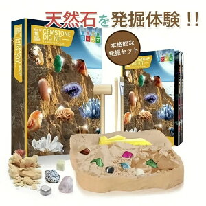 v[g ~x ċx w 7 6 5 ̎q j̎q  eqŊy mߋ @   