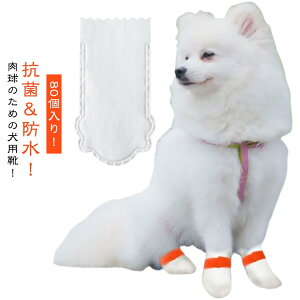 y h ho U Jo[ C Jo[  ybg C pC _炩 sDz hbOu[c ̃V[Y 80Zbg ̌C