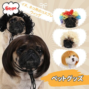 p[e  낢 ˂p ʗp ybg  RX`[ RXvߑ ybgObY nEB EBbO p L