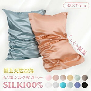 s  6A 킢  􂦂 q ێ   ⊴    48×74cm 22  VN100 Jo[