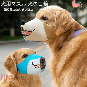 p ybgpi fÎp ݕ TCY h~ LYr EHh~ ݂ ʖi p }Y 